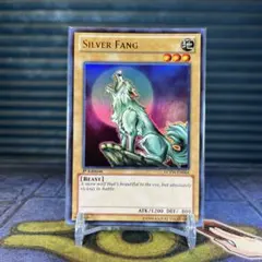 2025年最新】シルバー・フォングの人気アイテム - メルカリ