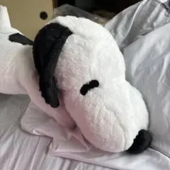 未使用】Aftenoon Teaひざ乗りクッション ぬいぐるみ ギブス 包帯