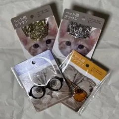 고양이 선글라스와 크라운 세트