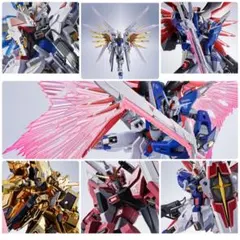 Y*J様 METAL ROBOT魂 メタルロボット魂 SEED FREEDOM