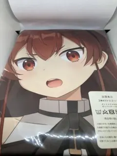 【新品未開封】【無職転生】 エリス・ボレアス・グレイラット 等身大抱き枕カバー 駿河屋 -<新品/中古>エリス・ボレアス・グレイラット エリスと
