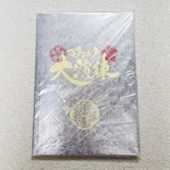 刀剣乱舞 大演練 パンフレット