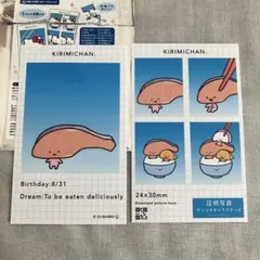 サンリオキャラクターズ 証明写真スマロイド KIRIMIちゃん.