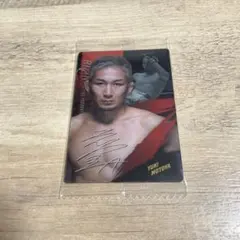 Item thumbnail for item 643e8f67-10c4-4702-b9d5-e46916063109