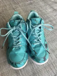 Item thumbnail for item a0092032-41c5-40be-811a-f506c55c1198