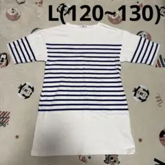 SHIPS ボーダー ワンピース Lサイズ