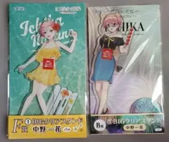 中野一花 BIGアクリルスタンド 2種セット