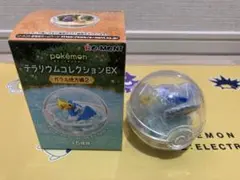 ポケモン テラリウムコレクションEX ガラル地方編2 ピカチュウ&ウッウ