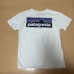 patagonia オーガニックコットンスリムフィットTシャツ S