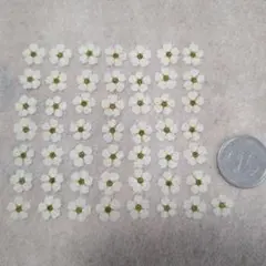 しろ様 リクエスト 2点 まとめ商品