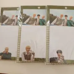 SEVENTEEN Bringgreen 購入特典 ポストイット 3人 ②