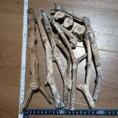 ナスの枝 10本セット 木工 工作 ハンドメイド ナス1