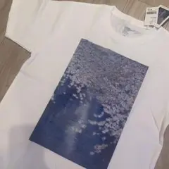 グラニフ　目黒川　桜　Tシャツ