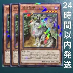 遊戯王　孤高除獸　ノーパラ　3枚　ココウノケモノ　パラレル
