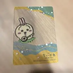 【組合せ変更可能】ハチワレ・ラッコ　クリアカード　2枚セット
