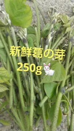 丸福様 リクエスト 2点 まとめ商品