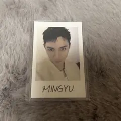 SEVENTEEN FOLLOW AGAIN TO JAPAN ミンギュ