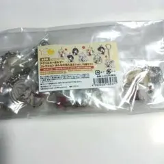 ゆずソフト アクリルキーホルダー みんなの憧れ巫女 8個セット未開封 ゆずソフト アクリルキーホルダー みんなの憧れ巫女 8個セット未開封