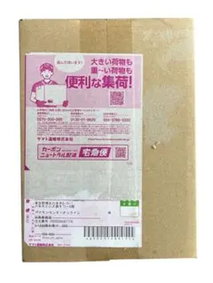 ポケモンカードゲーム ニンジャスピナー BOX シュリンク付き