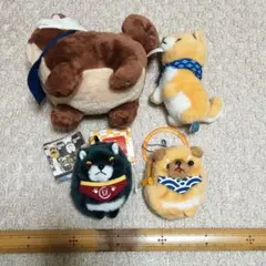 豆柴の大群ぬいぐるみ 5体セット 2026年最新】豆柴の大群 ぬいぐるみの人気アイテム - メルカリ