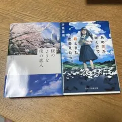 桜のような僕の恋人 & あの花が咲く丘で君とまた出会えたら。2冊セット