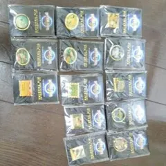 USJ　１st.anniversary pin trading 13個