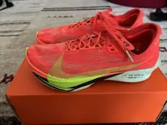 ナイキストリークフライ2