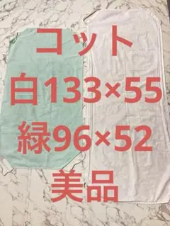 Item thumbnail for item 299dec95-46c7-42a0-9c2d-ced83dbac898