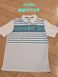 MIZUNO SHIZUGAKU ポロシャツ 半袖 ホワイト グリーン M MIZUNO SHIZUGAKU ポロシャツ 半袖 ホワイト グリーン M - メルカリ