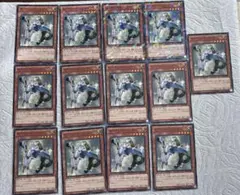 セイクリッド・グレディ 13枚