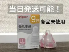 Item thumbnail for item 9d95e1fc-88d1-4dac-9094-cbb48b21c203