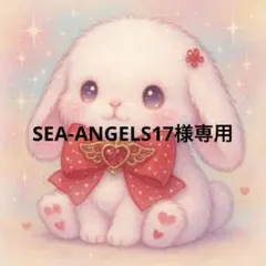 専用出品