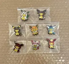 ピカチュウ ピンズセット 8個 イーブイコスチューム ポンチョピカチュウ 新品