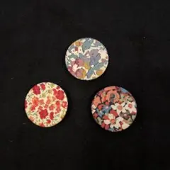 Item thumbnail for item f09b510d-736f-4e5d-a414-2c43bb0e479a