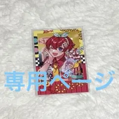 ころ猫様専用ページ