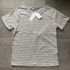 グレー ストライプ 半袖Tシャツ LL
