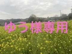 ゆう様専用 わらび
