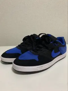 NIKE SB Alleyoop 