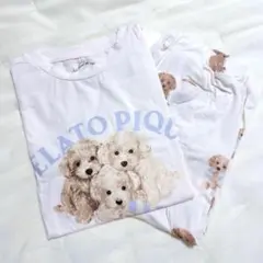 【新品未使用】ジェラートピケ　犬　プードル　ロゴ　半袖Tシャツ&ロングパンツ