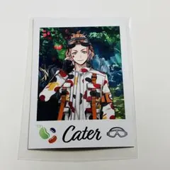 ツイステ展　ランダムカードコレクション　イベント衣装　ケイト