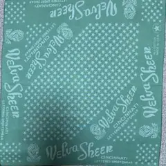 Item thumbnail for item 17d970ae-b9a5-4233-a951-afc7cfb21ee3