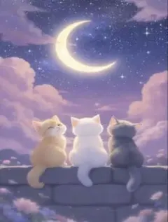 【ダイヤモンドアートキット】星空を見上げる猫（30×40）