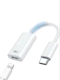 Type C to Lightning 変換アダプタ