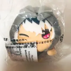 新品★アイナナ★Re:vale【百】一番くじ★きらどるますこっとぬいぐるみ