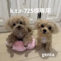 羊毛フェルト犬ぬいぐるみ