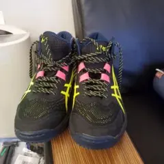 Item thumbnail for item a41b7ecb-aac4-4015-ab11-9a403053048c