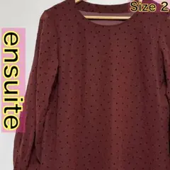 ensuite 長袖シアーブラウス 水玉総柄 ドット柄 ブラウン フロッキー加工のサムネイル