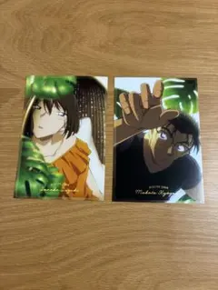 名探偵コナン 鈴木園子 京極真 カップル ポストカード セット