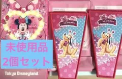 ディズニーパルパルーザ　ミニーファンダーランド　ワッペンアクセサリープルート2個