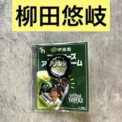 柳田悠岐 九州限定 ソフトバンクホークス めじるしマーカー おーいお茶